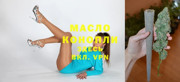 гашик Богородицк