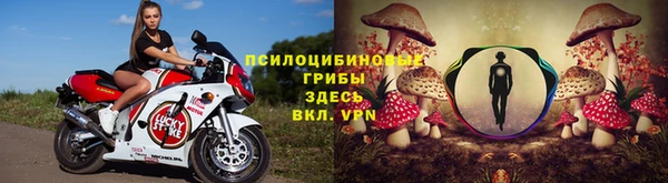 синтетический гашиш Богданович