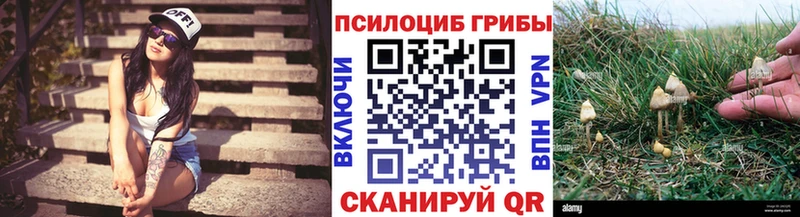 Псилоцибиновые грибы Magic Shrooms  маркетплейс формула  Малая Вишера  что такое  